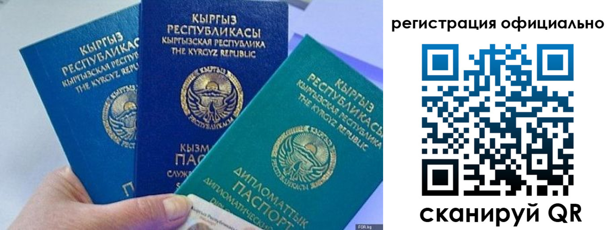 прописка в Бердске